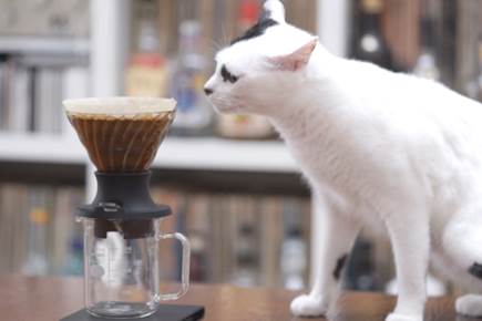 コーヒーステーション コーヒーステーション