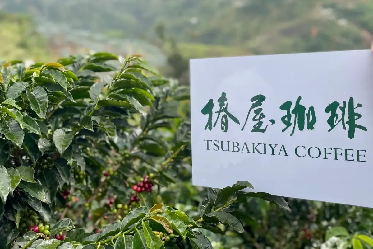 コーヒーステーション コーヒーステーション