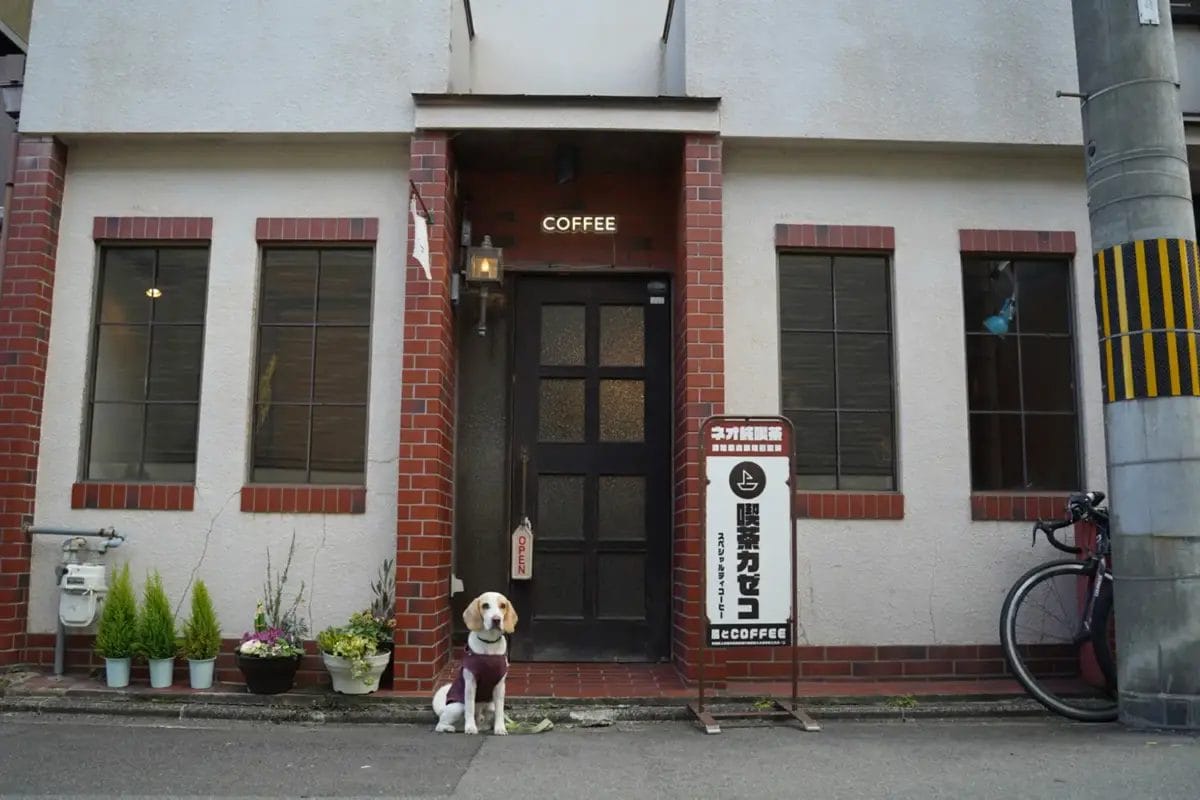 2198938308d66a30c7fe5ae7c9c2c9ed8b8041791500x1000 | コーヒーステーション