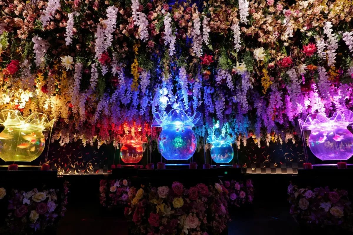 60756181e28fd9f01203b95e661c5d6b533ca5ed3900x2600 | コーヒーステーション