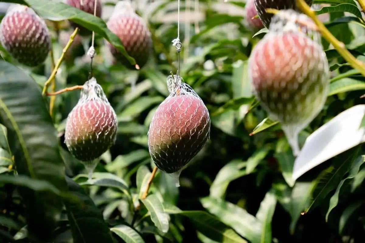 1204730039e2fdc657e3a45f7add8f7dfdf2b5392048x1365 | コーヒーステーション