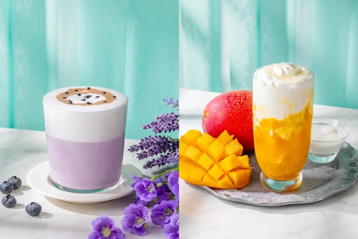 270051672d425c6e70b1589b622452d25cf7a44e3900x2606 | コーヒーステーション