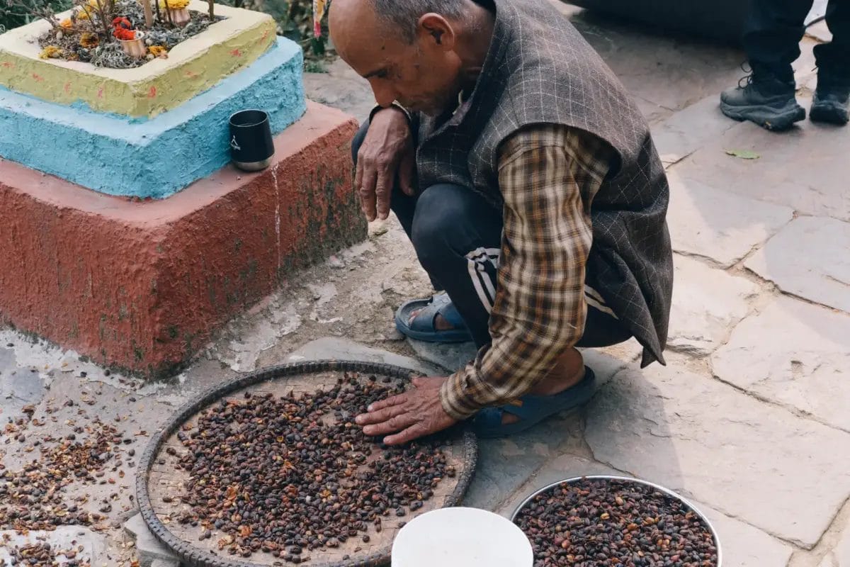 9944158cba18dc8e506e9e883e707e7b38b87d3900x2600 | コーヒーステーション
