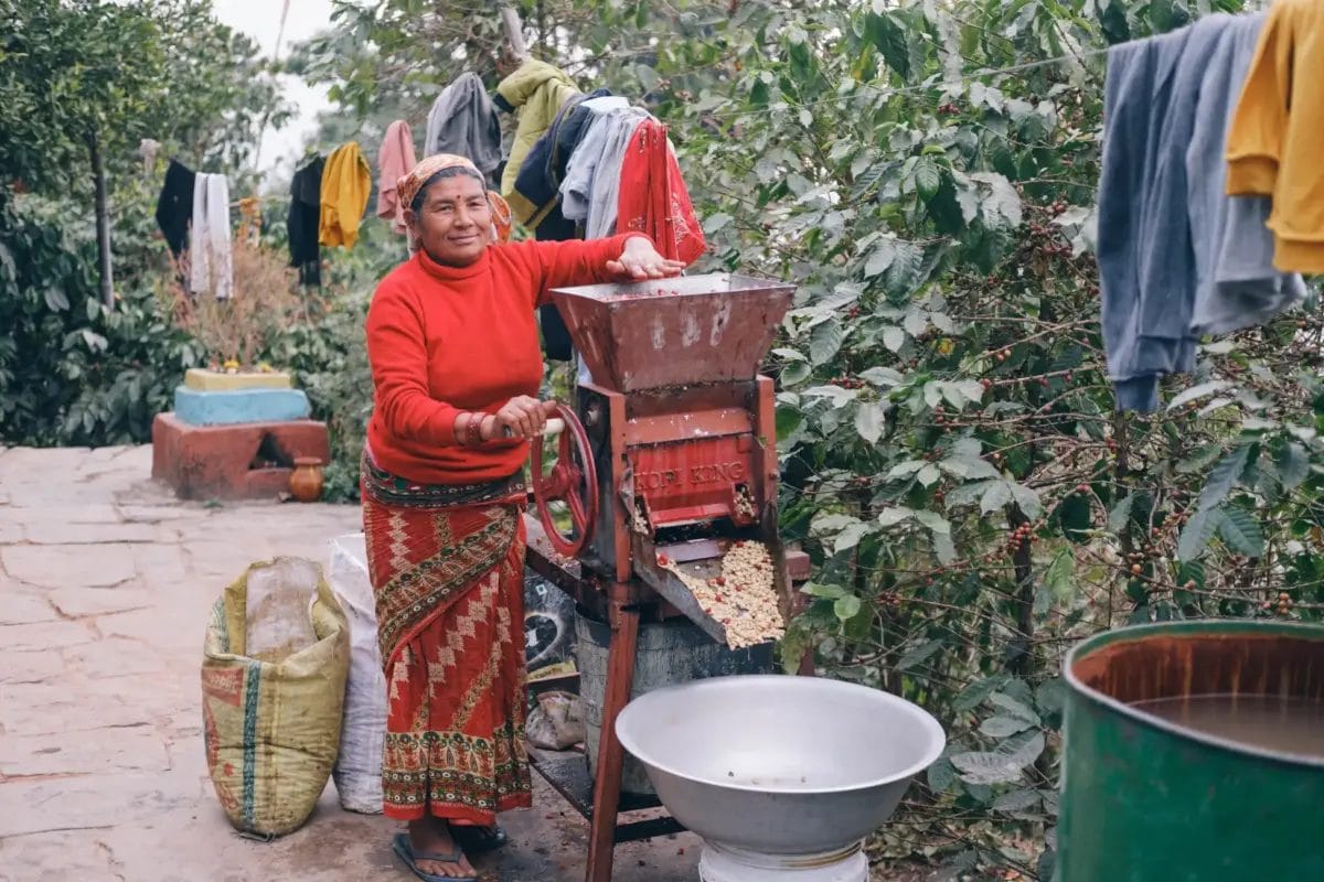 994415d4bc9fa3e71d0d9f7ee06f4717ee0f303900x2600 | コーヒーステーション