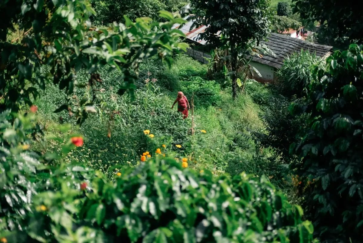 994415fb9fae495f80b58ea98565ffaa5a59963900x2605 | コーヒーステーション