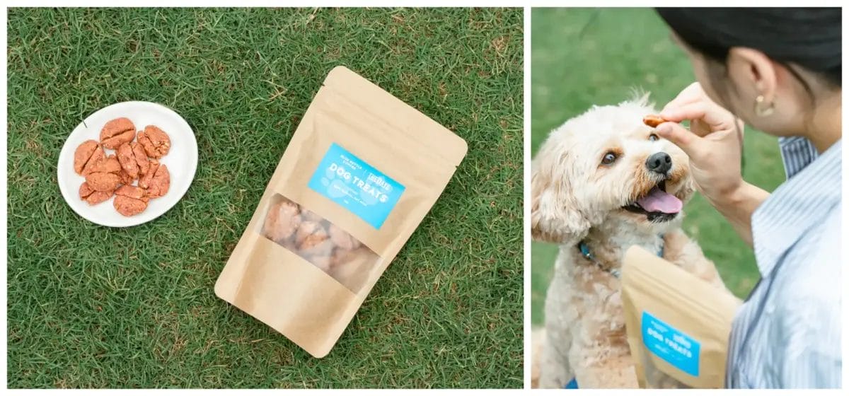 488831098c6d64268ae838b7c25138e1feee89eb3900x1820 | コーヒーステーション