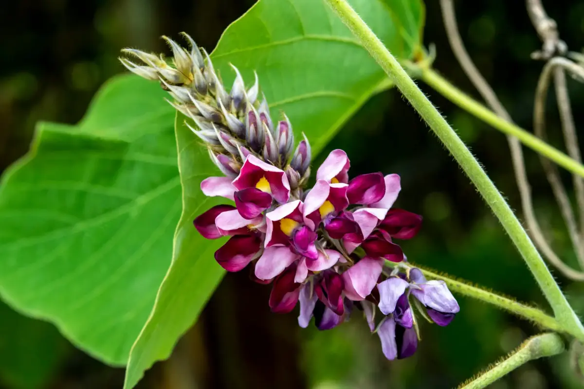 857923ba948146dd907a229e4b67ca06628d092000x1333 | コーヒーステーション