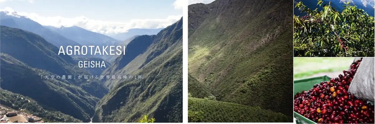 2495520066a2edb1387a322e3217c591996acb313589x1188 | コーヒーステーション