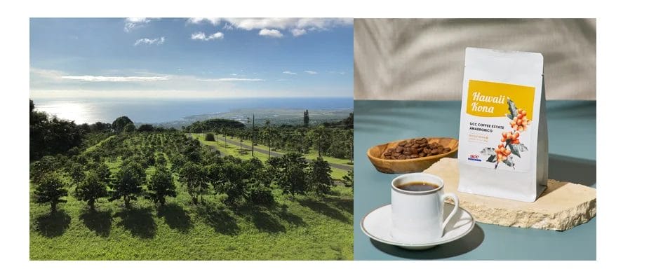 7405623305ea56d72588071e7600071239f02255935x394 | コーヒーステーション