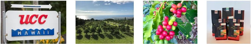 740562331fd79308c20727cac67fa75b185e760a1030x183 | コーヒーステーション