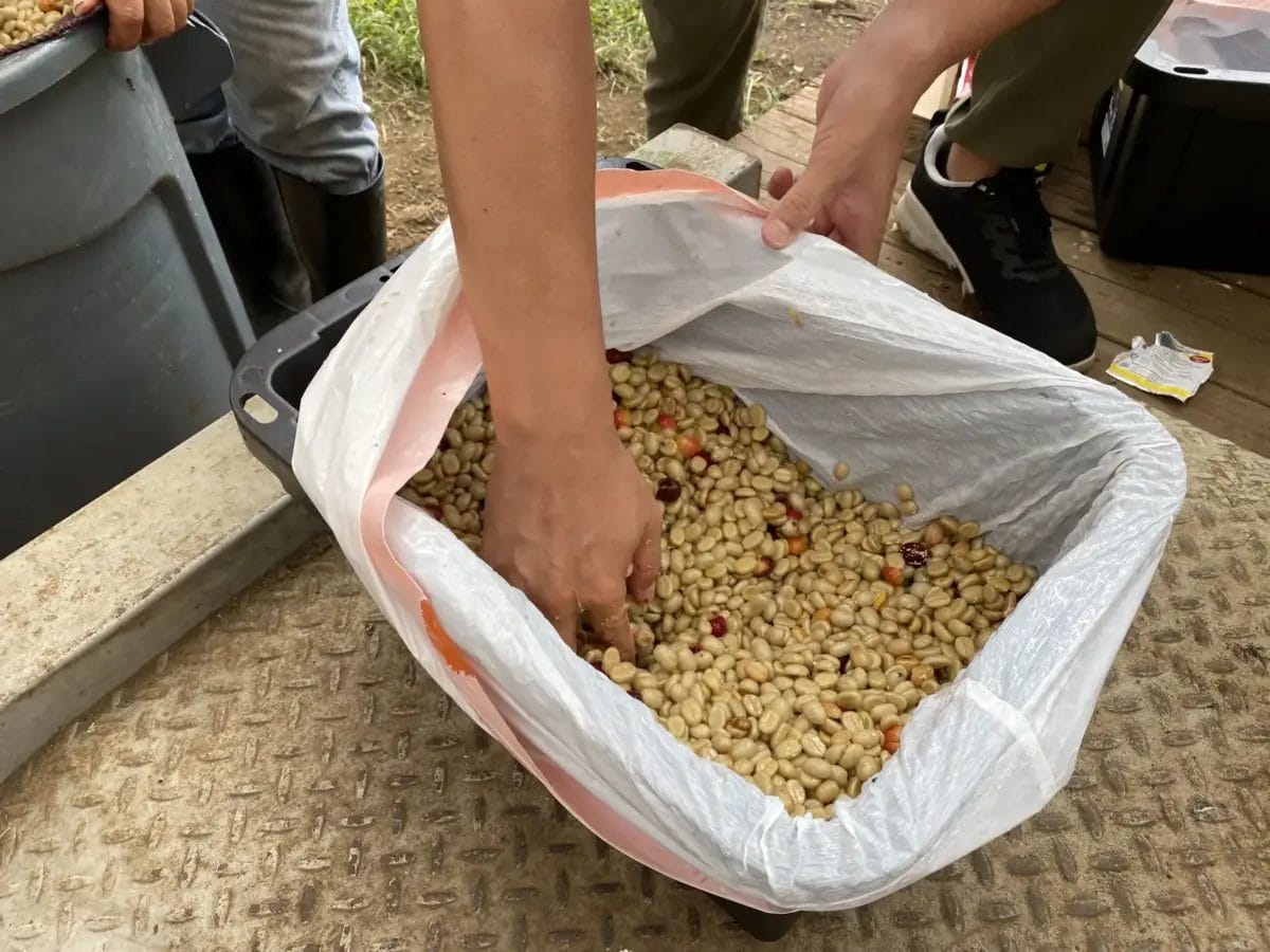 74056233c72c87f990876aeb260a180ca58a196d3900x2925 | コーヒーステーション