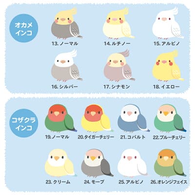 sub2 | コーヒーステーション