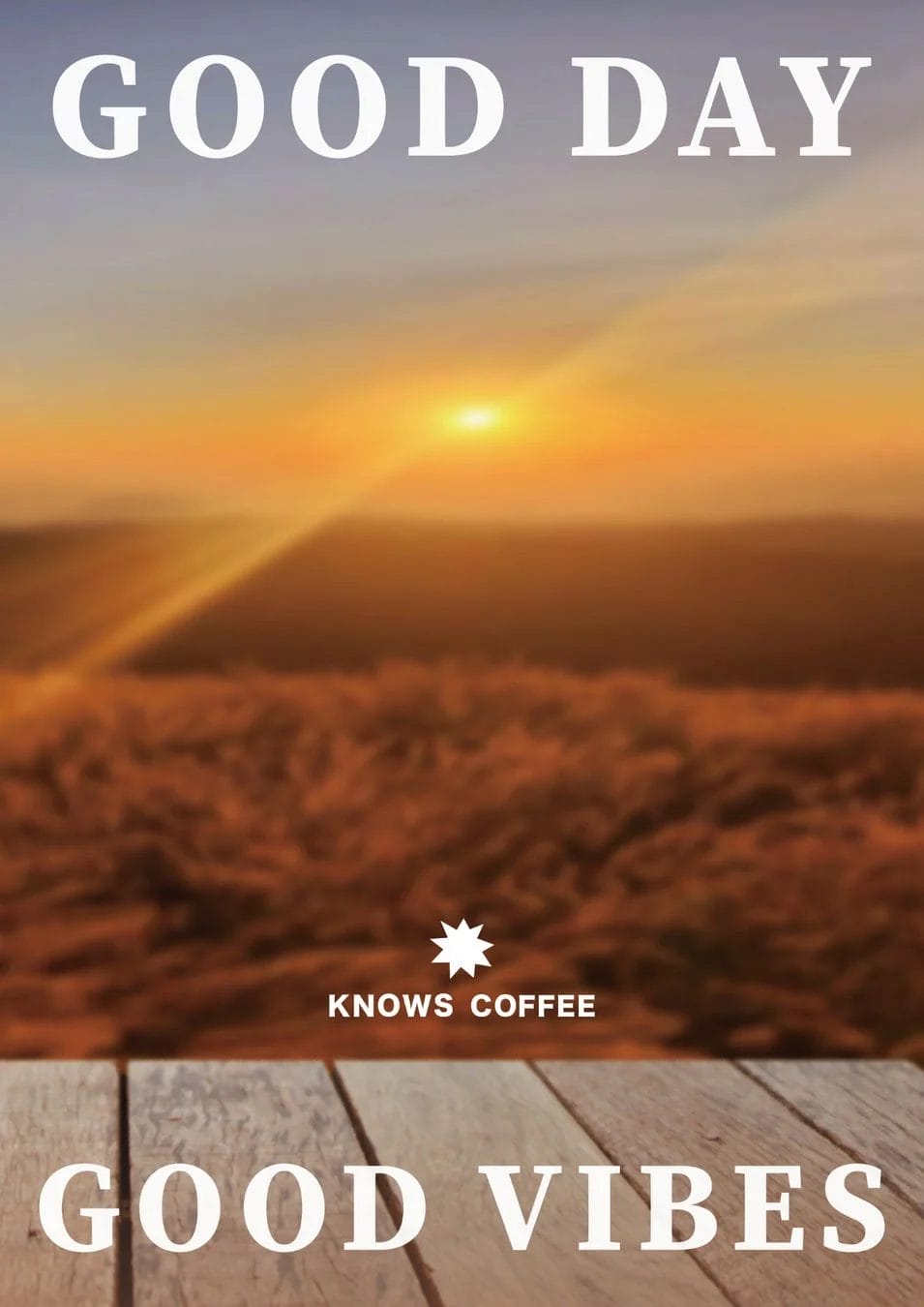 KNOWS COFFEEの店内イメージ