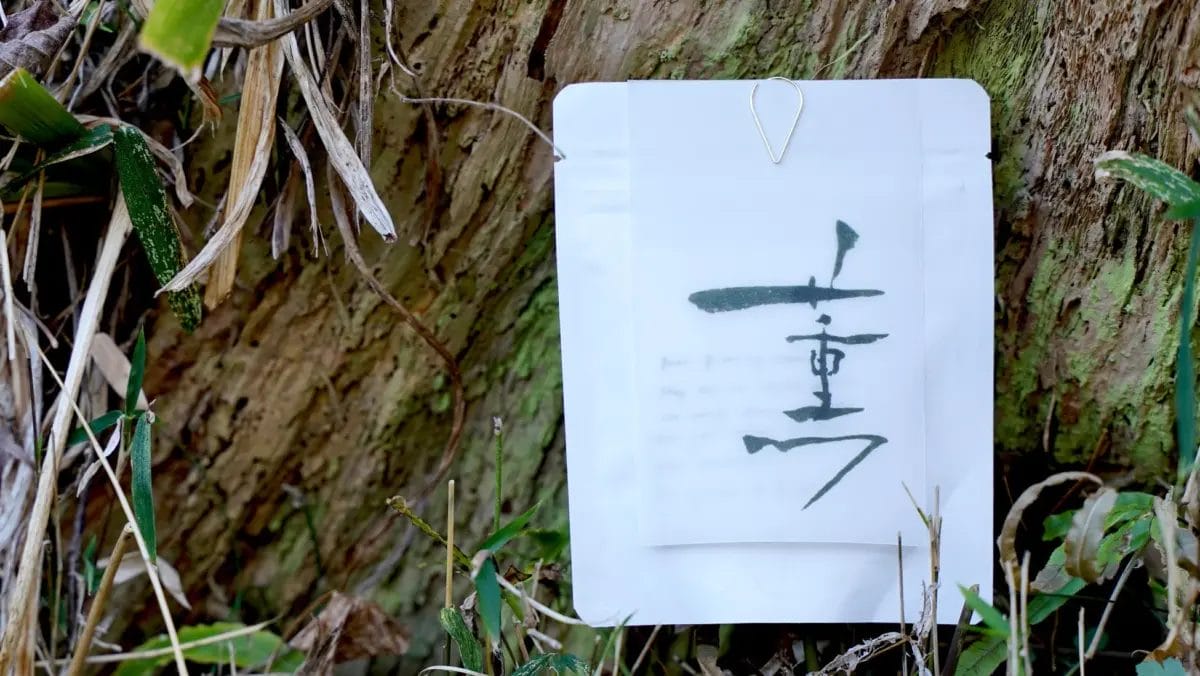 苔むした木の幹に、日本の書道で「一重」と書かれた白い紙がクリップで留められています。周囲には枯れた葉や緑の植物が生い茂り、自然の中でアートが展示されているような情景です。